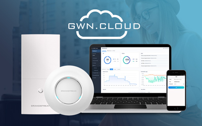 Grandsream Wifi 6